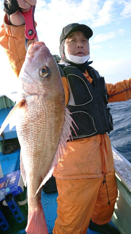 だて丸 釣果