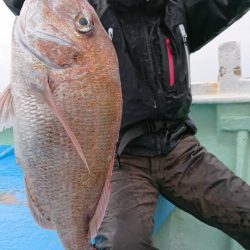 だて丸 釣果