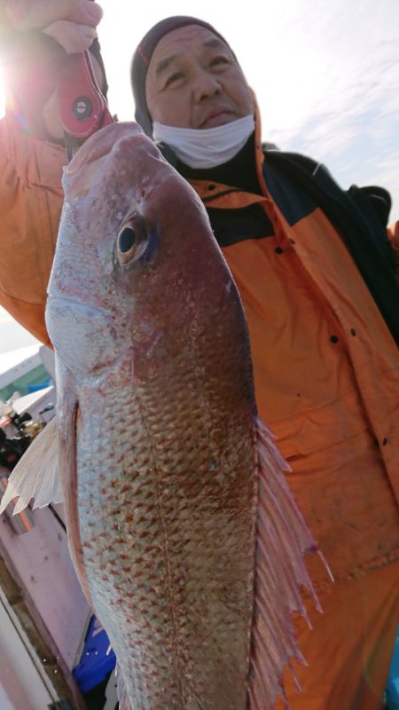 だて丸 釣果