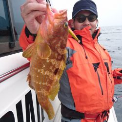 ARCADIAⅡ (アルカディアⅡ) 釣果