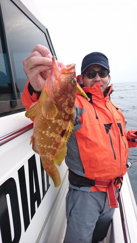 ARCADIAⅡ (アルカディアⅡ) 釣果