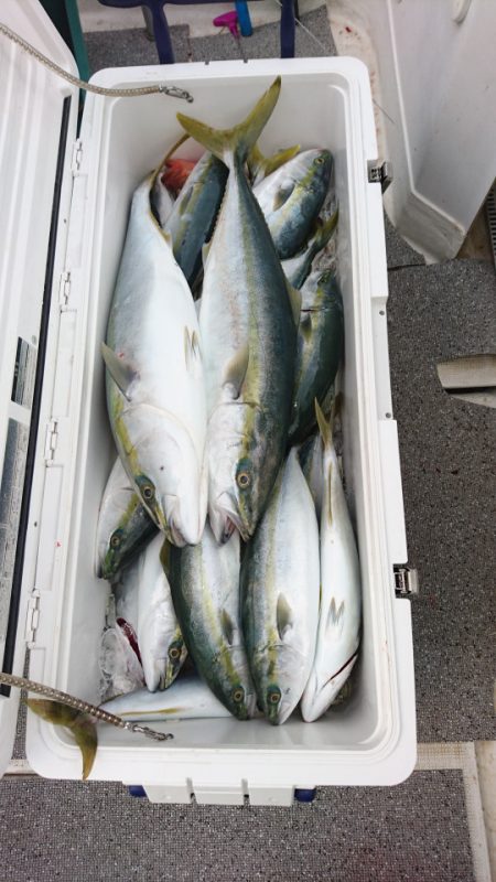 ARCADIAⅡ (アルカディアⅡ) 釣果