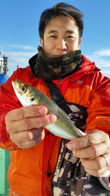 金沢八景鴨下丸 釣果