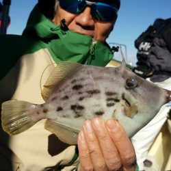 島きち丸 釣果