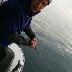 タイラバ遊漁船 ワンピース 釣果