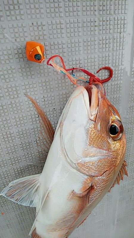 タイラバ遊漁船 ワンピース 釣果