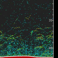 タイラバ遊漁船 ワンピース 釣果