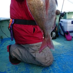 だて丸 釣果