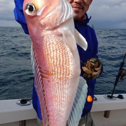 ARCADIAⅡ （アルカディアⅡ） 釣果