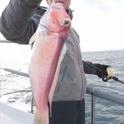 ARCADIAⅡ （アルカディアⅡ） 釣果