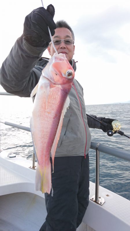 ARCADIAⅡ （アルカディアⅡ） 釣果