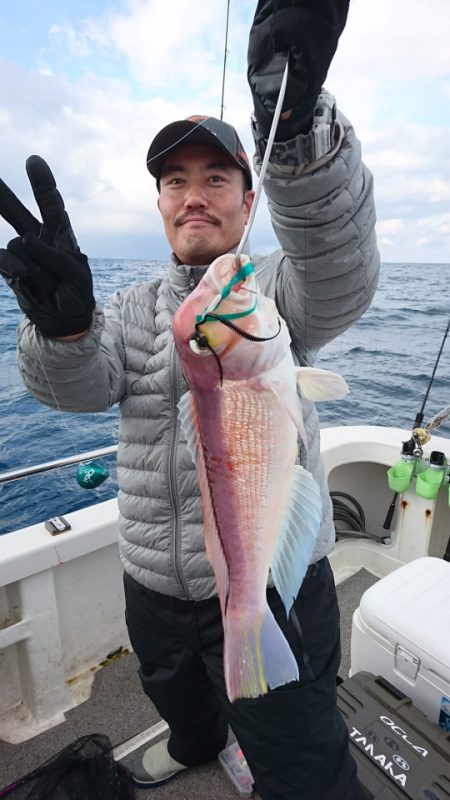 ARCADIAⅡ （アルカディアⅡ） 釣果