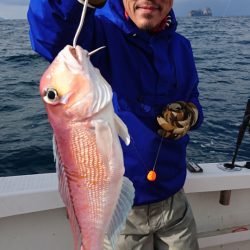 ARCADIAⅡ （アルカディアⅡ） 釣果