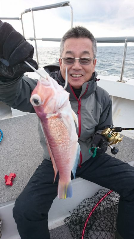 ARCADIAⅡ （アルカディアⅡ） 釣果