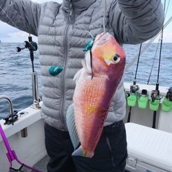 ARCADIAⅡ （アルカディアⅡ） 釣果