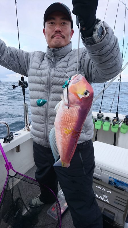 ARCADIAⅡ （アルカディアⅡ） 釣果