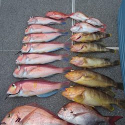 ARCADIAⅡ （アルカディアⅡ） 釣果