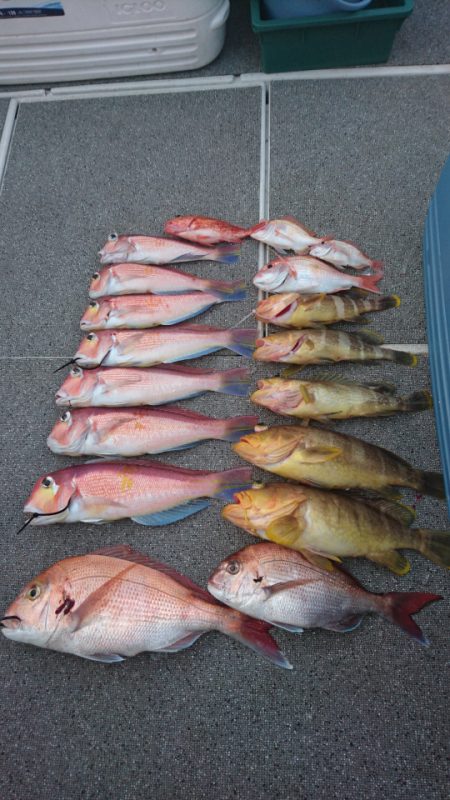 ARCADIAⅡ （アルカディアⅡ） 釣果