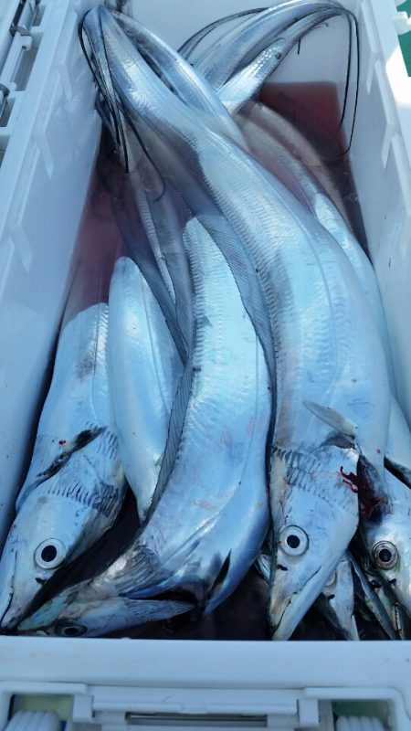 金沢八景鴨下丸 釣果