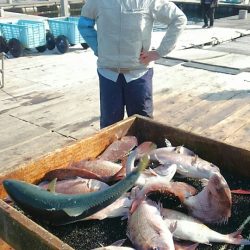 海の釣堀 海恵 釣果