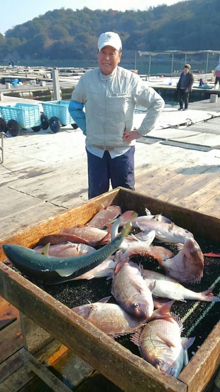 海の釣堀 海恵 釣果