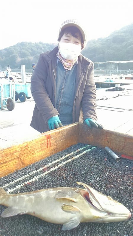 海の釣堀 海恵 釣果