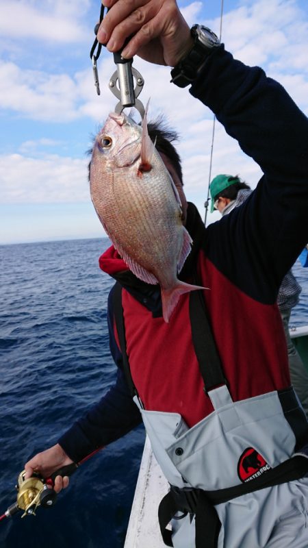 だて丸 釣果