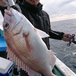 だて丸 釣果