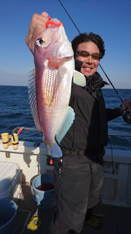 ARCADIAⅡ (アルカディアⅡ) 釣果