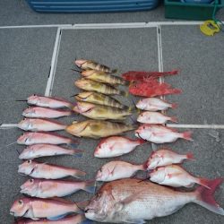 ARCADIAⅡ (アルカディアⅡ) 釣果