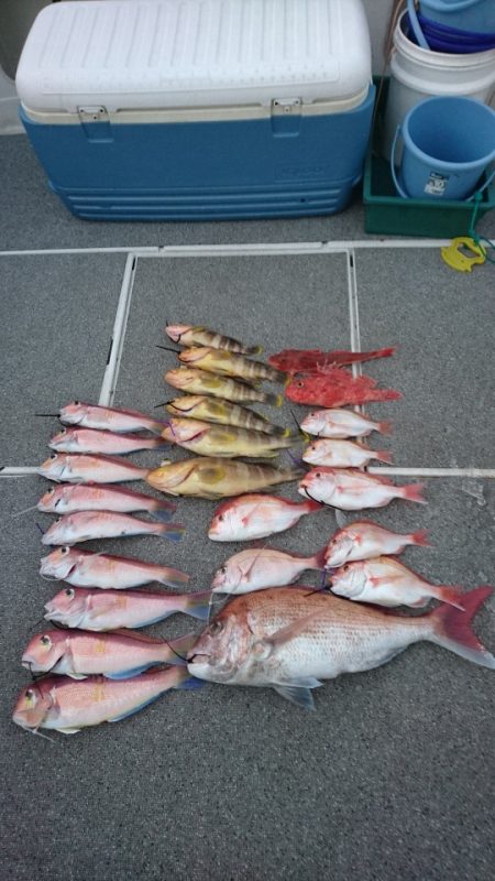 ARCADIAⅡ (アルカディアⅡ) 釣果