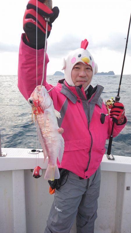 ARCADIAⅡ （アルカディアⅡ） 釣果