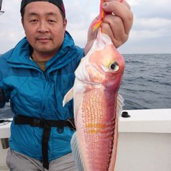 ARCADIAⅡ （アルカディアⅡ） 釣果