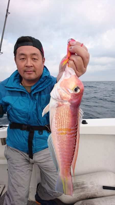 ARCADIAⅡ （アルカディアⅡ） 釣果