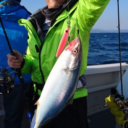 ARCADIAⅡ （アルカディアⅡ） 釣果