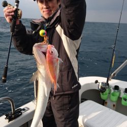 ARCADIAⅡ （アルカディアⅡ） 釣果