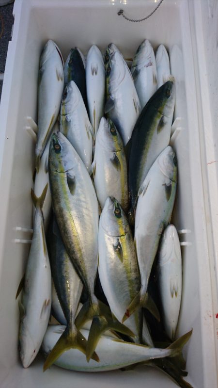 ARCADIAⅡ （アルカディアⅡ） 釣果