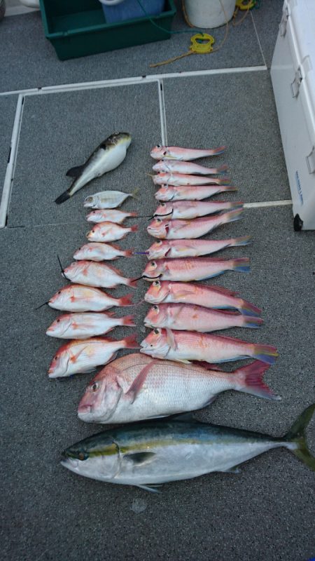 ARCADIAⅡ （アルカディアⅡ） 釣果