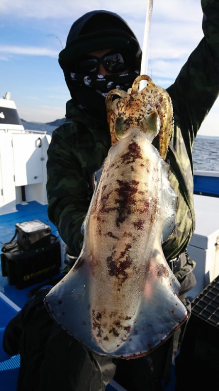 第三共栄丸 釣果