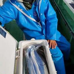 金沢八景鴨下丸 釣果