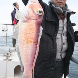 ARCADIAⅡ (アルカディアⅡ) 釣果