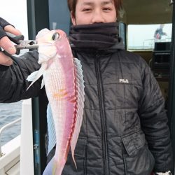 ARCADIAⅡ (アルカディアⅡ) 釣果