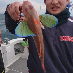 ARCADIAⅡ (アルカディアⅡ) 釣果