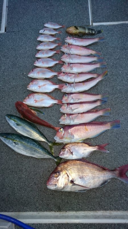 ARCADIAⅡ (アルカディアⅡ) 釣果