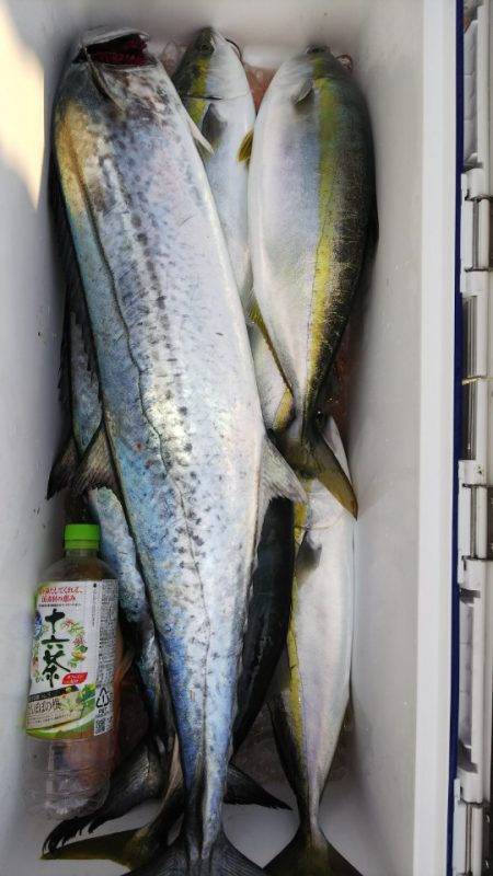 第二龍勢丸 釣果