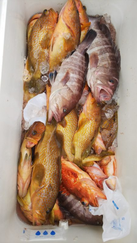 第二龍勢丸 釣果