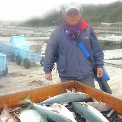 海の釣堀 海恵 釣果