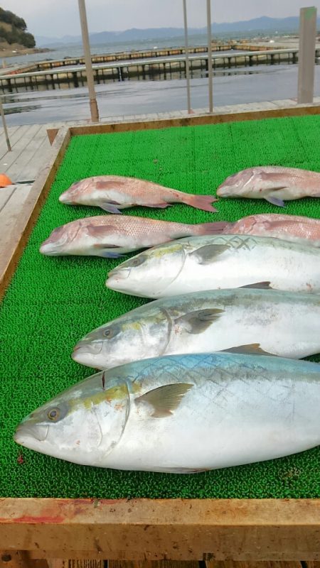 海の釣堀 海恵 釣果