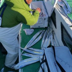 金沢八景鴨下丸 釣果