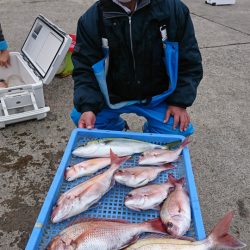 第三共栄丸 釣果